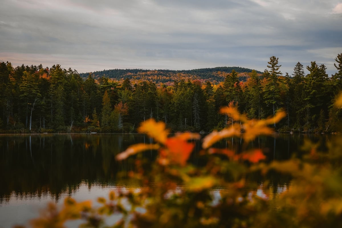 Autumn lake and spruce forest in Maine's North Woods